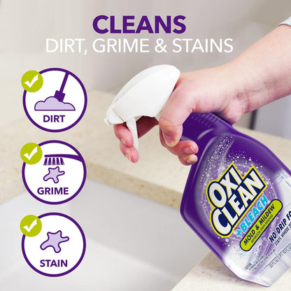 Church & Dwight 54751 30 oz. Kaboom Stain Buster Mold & Mildew Stain Remover