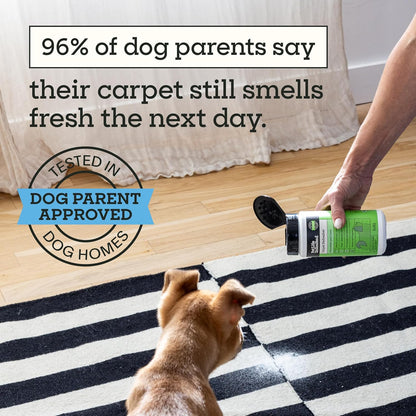 Pet Life Unlimited Carpet Deodorizer Powder, 16 oz, Strong Pet Odor Eliminator & Carpet Freshener, Plant-Based Juniper Leaf Scent, Pet Safe (Pack of 3)