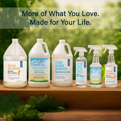 Natural Odor and Stain Remover Spray - Unscented Plant-Based Child and Pet Safe Cleaner Earth-Friendly Odor Eliminator Eco Cleaning Products for Home, Carpet, Upholstery 16 oz
