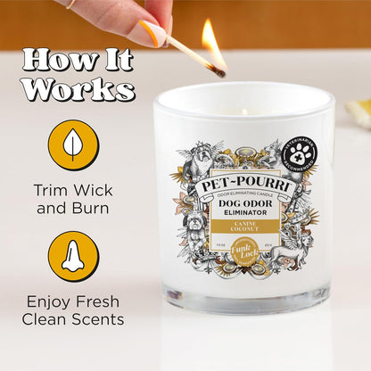 Pet-Pourri Pawsitively Fresh Pet Odor Deodorizer Candle, Burns Up to 45 Hours, Aromatherapy & Air Freshener with Essential Oils, Plant Based Ingredients & Wax, Vet Approved, Jasmine Pear Scent