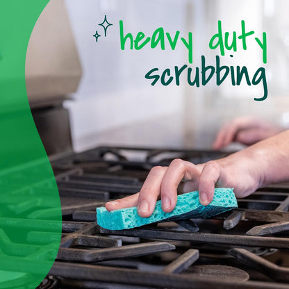Scotch-Brite Odor Resist Heavy Duty Scrub Sponge, Dishwasher-Safe Kitchen sponges for Serious Scrubbing, Multipurpose Dish Sponge for Stuck-On Messes, 6 Scrubbing Sponges