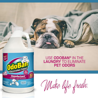 OdoBan Ready-to-Use Disinfectant and Odor Eliminator, Set of 3, 4 Ounce Travel Spray, 32 Ounce Spray, 1 Gallon Concentrate, Original Eucalyptus Scent