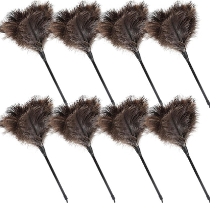 Ostrich Feather Duster 12 Inch Handheld Duster Supplies, Wooden Handle Feather Duster for Cleaning Keyboard Home Car Office (Champagne)