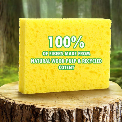 12 Pack Dishwashing Sponges Natural Cellulose Sponges Plant Based Resilient and Reusable Soft Dish Sponges for Washing Dishes DIY Craft Sponge for Fun