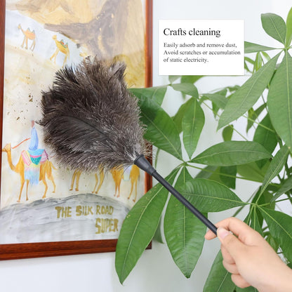 Ostrich Feather Duster 12 Inch Handheld Duster Supplies, Wooden Handle Feather Duster for Cleaning Keyboard Home Car Office (Champagne)