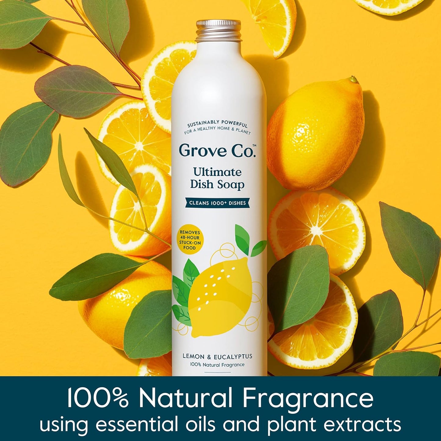 Grove Co. Ultimate Dish Soap Refills (3x16 Fl Oz) Removes 48-hr Stuck-on Food and Grease,Plastic Free Cleaning Products,100% Natural Lemon&Eucalyptus Fragrance,Pack of 1,16.0 Fl Oz,16.0 fluid_ounces
