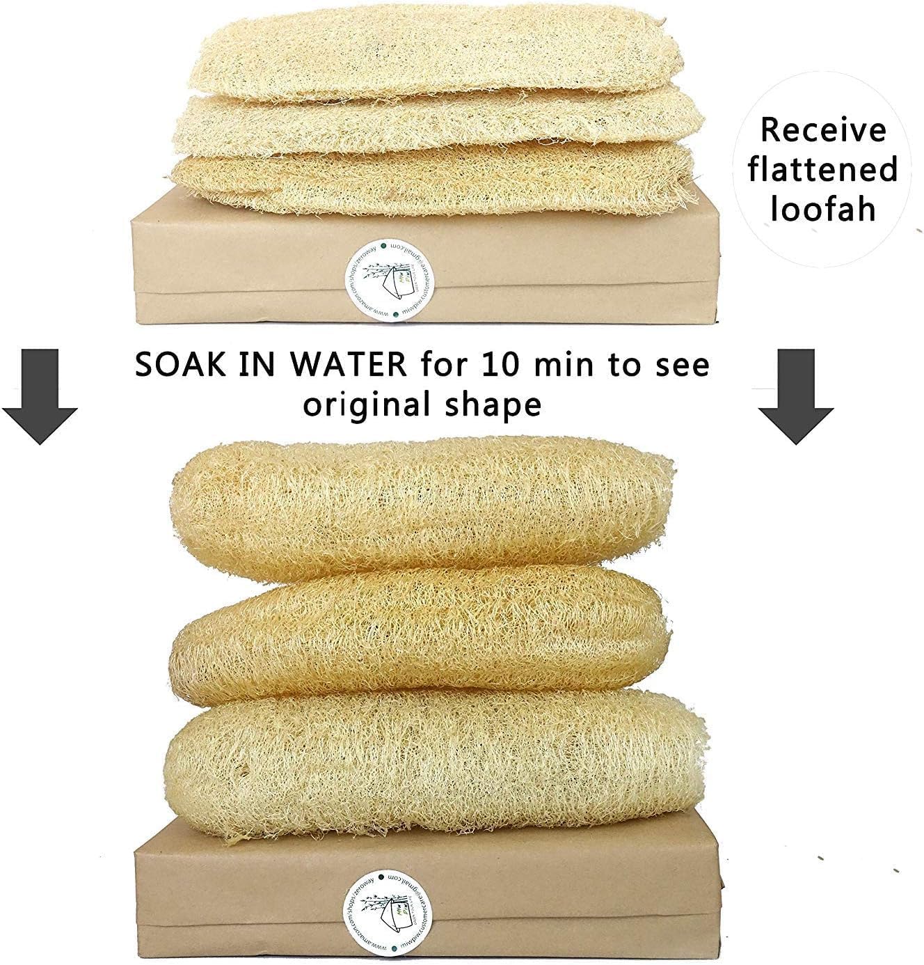 Natural Loofah Dish Sponge (Pack 30) Multipurpose Dish Sponges - 100% Biodegradable Compostable Dishwashing Scouring Pad Zero Waste (2.75" x 2.75" Each)