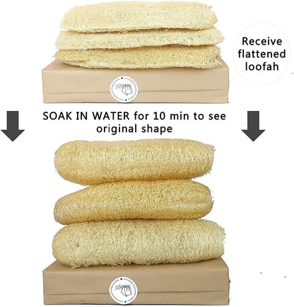 Natural Loofah Dish Sponge (Pack 30) Multipurpose Dish Sponges - 100% Biodegradable Compostable Dishwashing Scouring Pad Zero Waste (2.75" x 2.75" Each)
