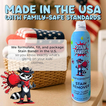 Stain Remover Spray | Non-Toxic Stain Remover Family Safe Formula | Bag-On-Valve 360° Continuous Spray Bottle | Cleaner for Clothes, Upholstery, Carpet & Car Seats 4.2 Oz, (Pack of 1)