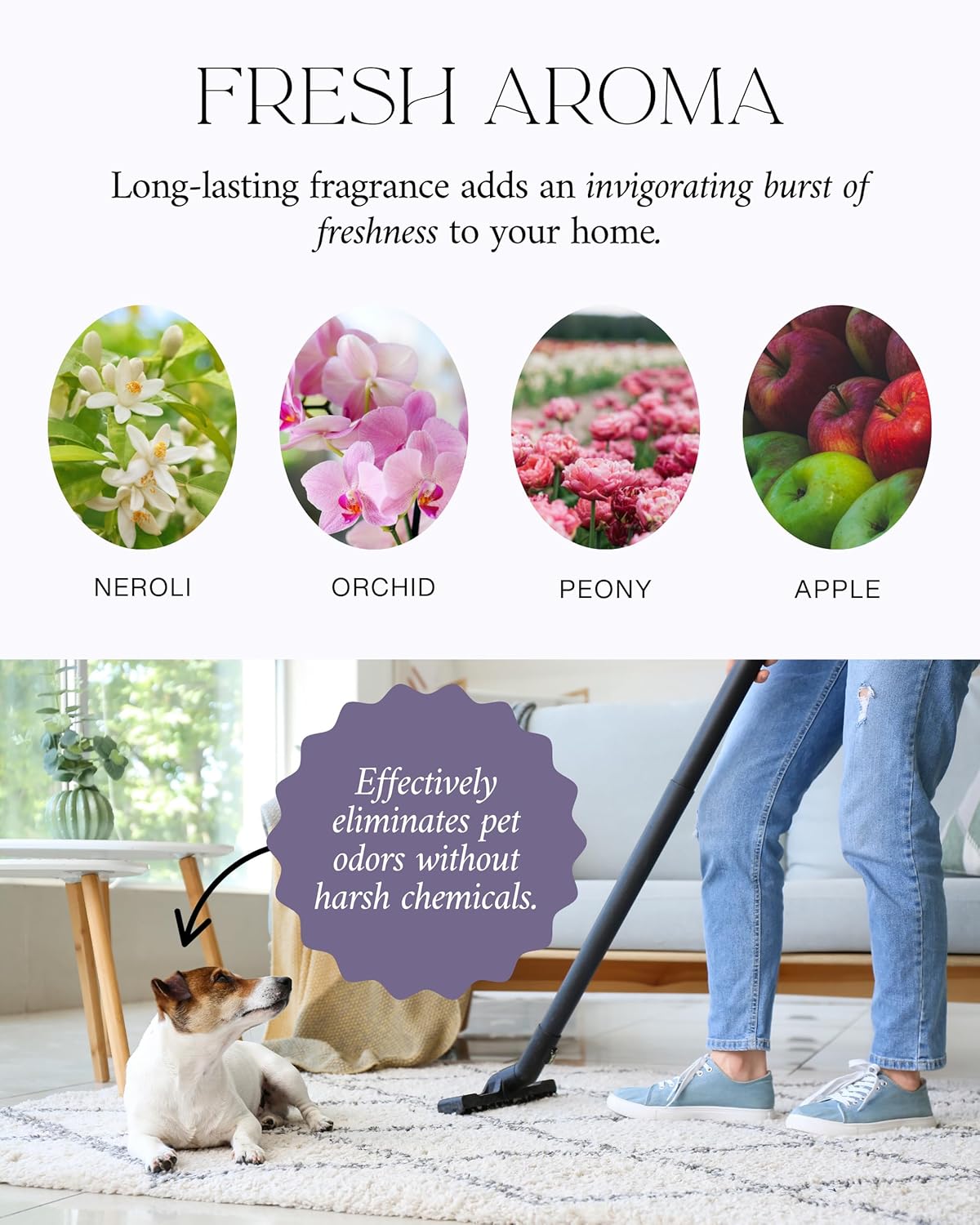 Home "Pink Cashmere" Carpet Deodorizer Powder For Vaccuuming Upholstery, Spring Cleaning, Pet Friendly– Odor Eliminator, Pet-Friendly Freshening Powder- Apple, Spices, & Vanilla