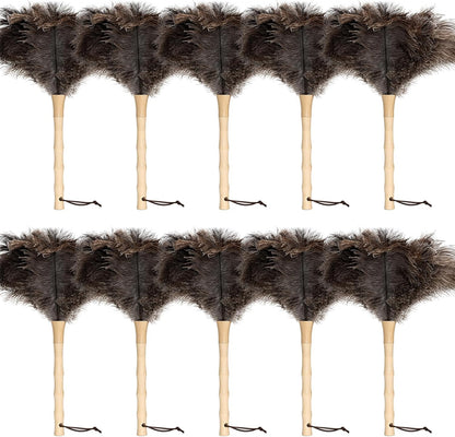 Retractable Ostrich Feather Duster for Cleaning, Fluffy and Natural Feather Duster with Retractable Handle， Reusable Eco-Friendly Handheld Cleaning Supplies (15 inch)