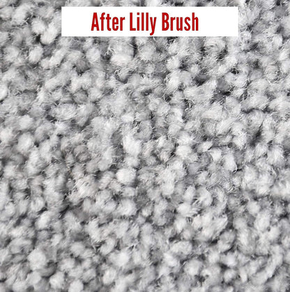 Lilly Brush Mighty Pet Hair Detailer Head (NO HANDLE) Dog & Cat Fur Clean-Up for Carpets and Rugs. Fits on ALL standard broom sticks.