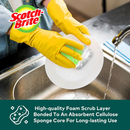 Scotch-Brite ocelo Non-Scratch Scrub Sponges, Assorted Designs, Scratch-Free for Nonstick Cookware & Dishes, Kitchen & Bathroom Use, Reusable Multi-Surface Cleaning Sponges (12 Count (Pack of 3))