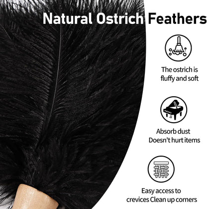 Ostrich Feather Duster 12 Inch Handheld Duster Supplies, Wooden Handle Feather Duster for Cleaning Keyboard Home Car Office (Champagne)
