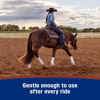 Farnam Leather New Easy-Polishing Glycerine Saddle Soap and Leather Cleaner, 16 oz