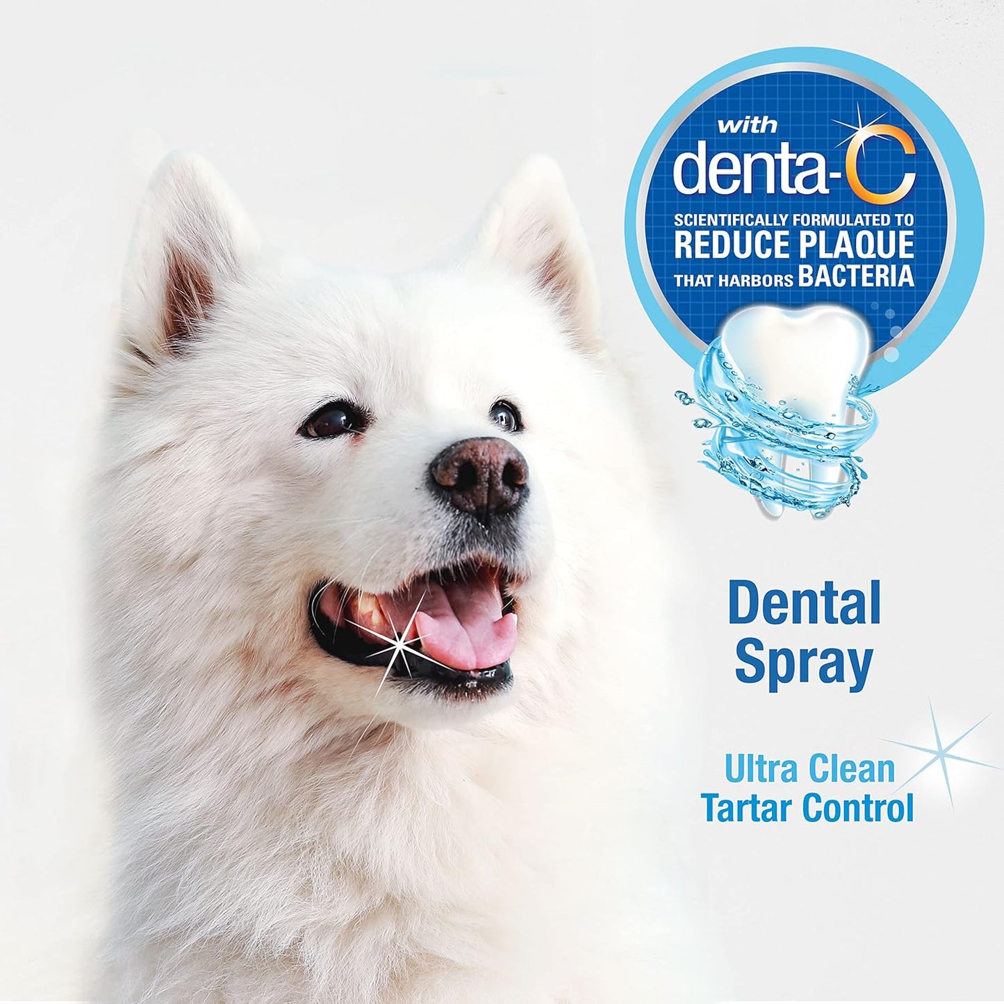 Nylabone Advanced Oral Care Pet Dental Foam Tartar Remover & Breath Freshener for Dogs, Dog Teeth-Cleaning, 4 oz.