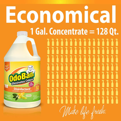 OdoBan Ready-to-Use Disinfectant and Odor Eliminator, Made in the USA, Original Eucalyptus Scent, Set of 3, 2 Spray Bottles, 32 Ounces Each and 1 Gallon Concentrate