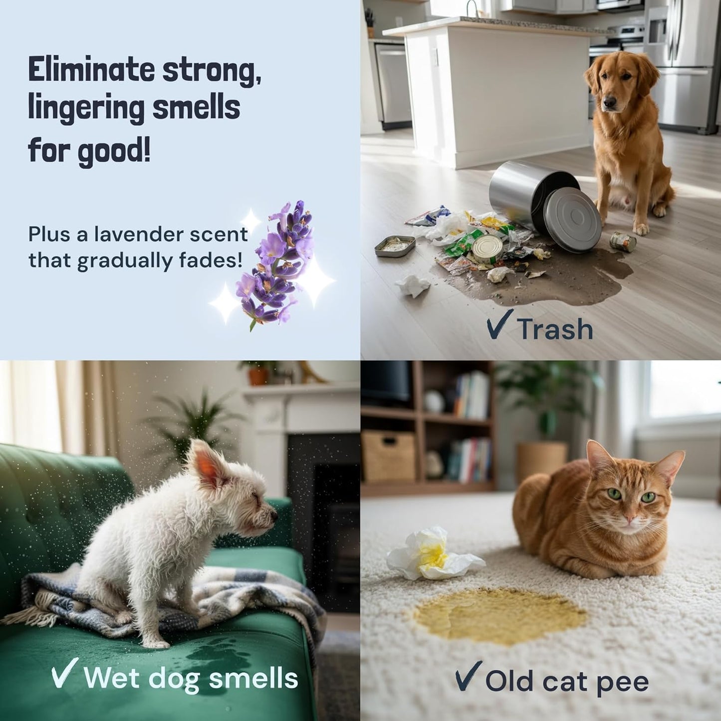 Sunny & Honey Pet Stain and Odor Remover - Enzyme Cleaner for Dog Urine and Poop on Carpets and Furniture - Strong Pet Carpet Cleaner Spray (1 Gallon Mint)
