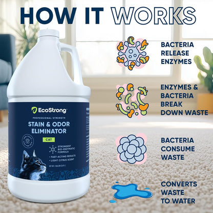 Eco Strong Cat Stain And Odor Remover | Enzyme Urine Odor Neutralizer - Stain Remover for Carpet, Litter Boxes, Bedding, and Laundry [Citrus Scent, 32 oz. Spray]