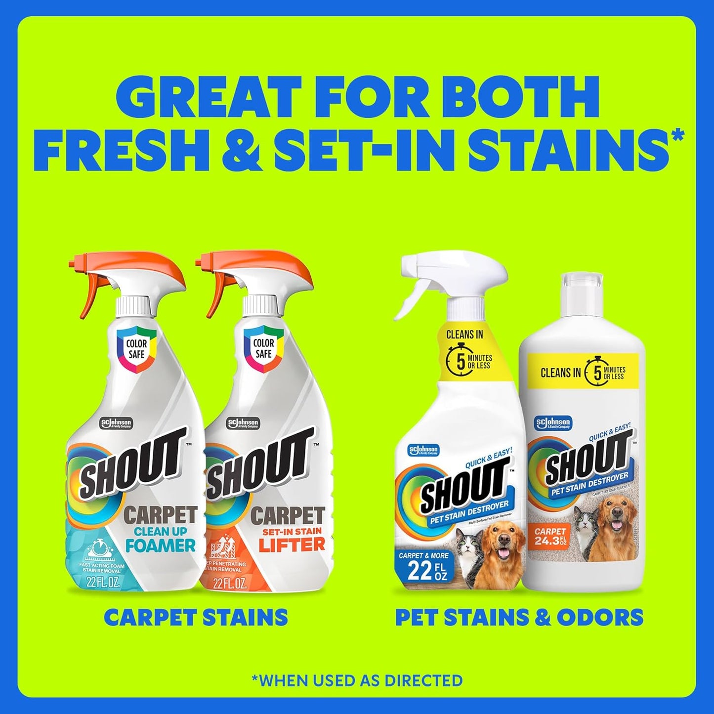 Shout Carpet Clean Up Foamer Rug & Carpet Cleaner, Color Safe and Fast Acting Spot & Stain Remover, 22 oz Trigger Spray