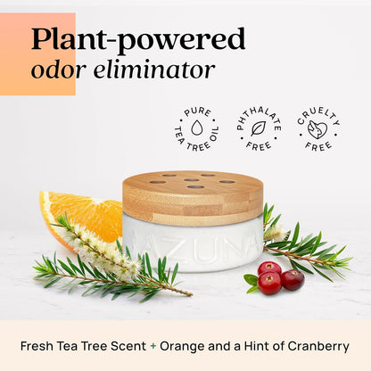 Azuna Air Freshener & Odor Eliminator for Strong Odor | 2 Room Kit Includes (2) 8 oz. Empty Luxe Glass Jars & 12 oz | Refill with Tea Tree Essential Oil Gel | Amalfi Breeze | Last 60-90 Days