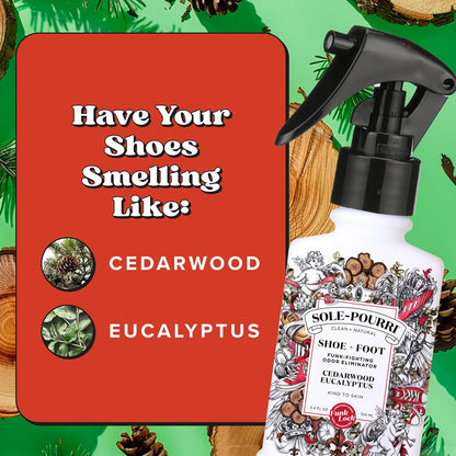 Sole-Pourri Shoe Deodorizer + Foot Spray, 3.4 Fl Oz, Up to 150 Uses, Funk-Fighting Odor Freshener with Essential Oils, for Smelly Shoes, Feet & Gym Bags, Citrus & Mint Scent