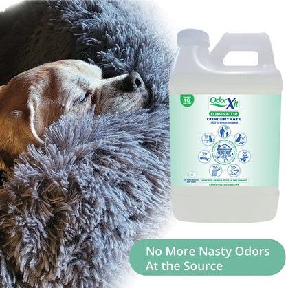 Pet Urine Odor Eliminator Spray, Ideal for Cat, Dog Poo and Urine Smell, Versatile & Natural Odor Neutralizer for Home and Outdoor Use, Ready to Use, 16oz