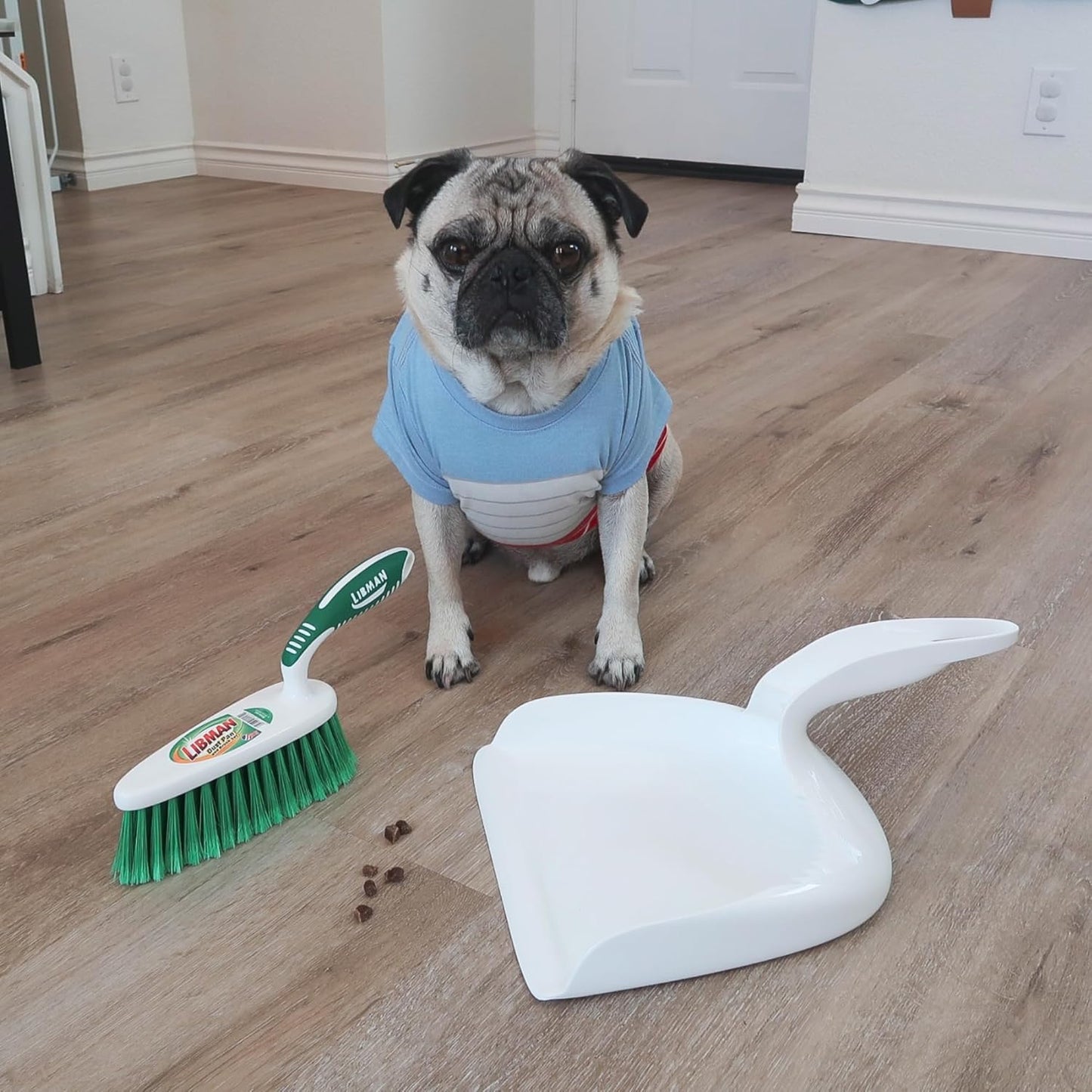 Libman Dust Pan and Brush Set | Portable Cleaning Brush | Mini Broom and Dustpan | Handheld | 2-Pack
