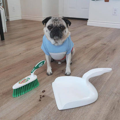 Libman Dust Pan and Brush Set | Portable Cleaning Brush | Mini Broom and Dustpan | Handheld | 2-Pack