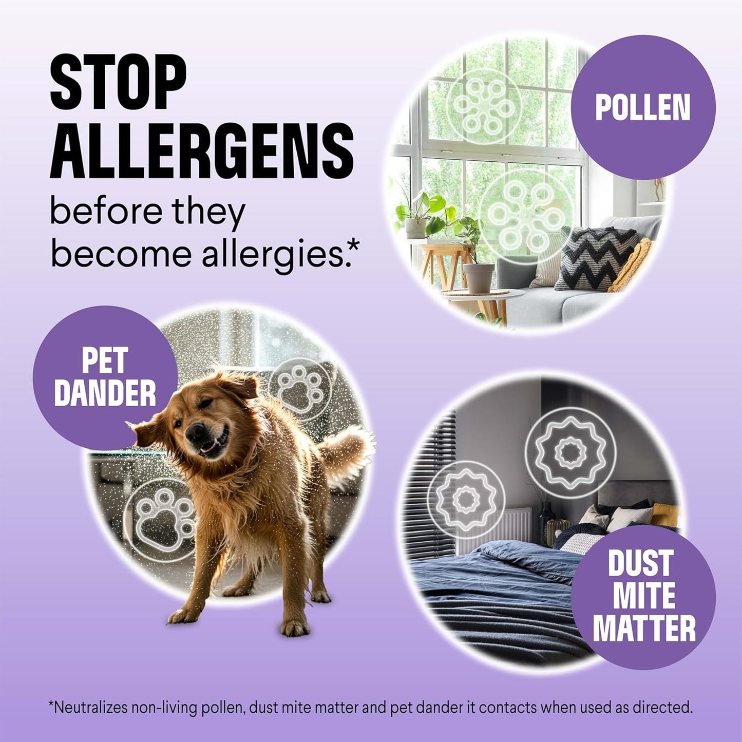 Clorox PURE Allergen Neutralizer Daily Air Spray, Nighttime Calm, 8 Ounces (Pack of 2)