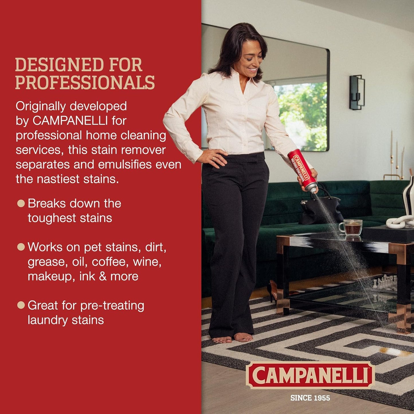 Campanelli Pro Series Stain Remover Point & Spray Carpet & Upholstery Cleaner for Pet Stains & Odors, Food Stains, Wine, Coffee, Dirt and More! – 18oz Aerosol