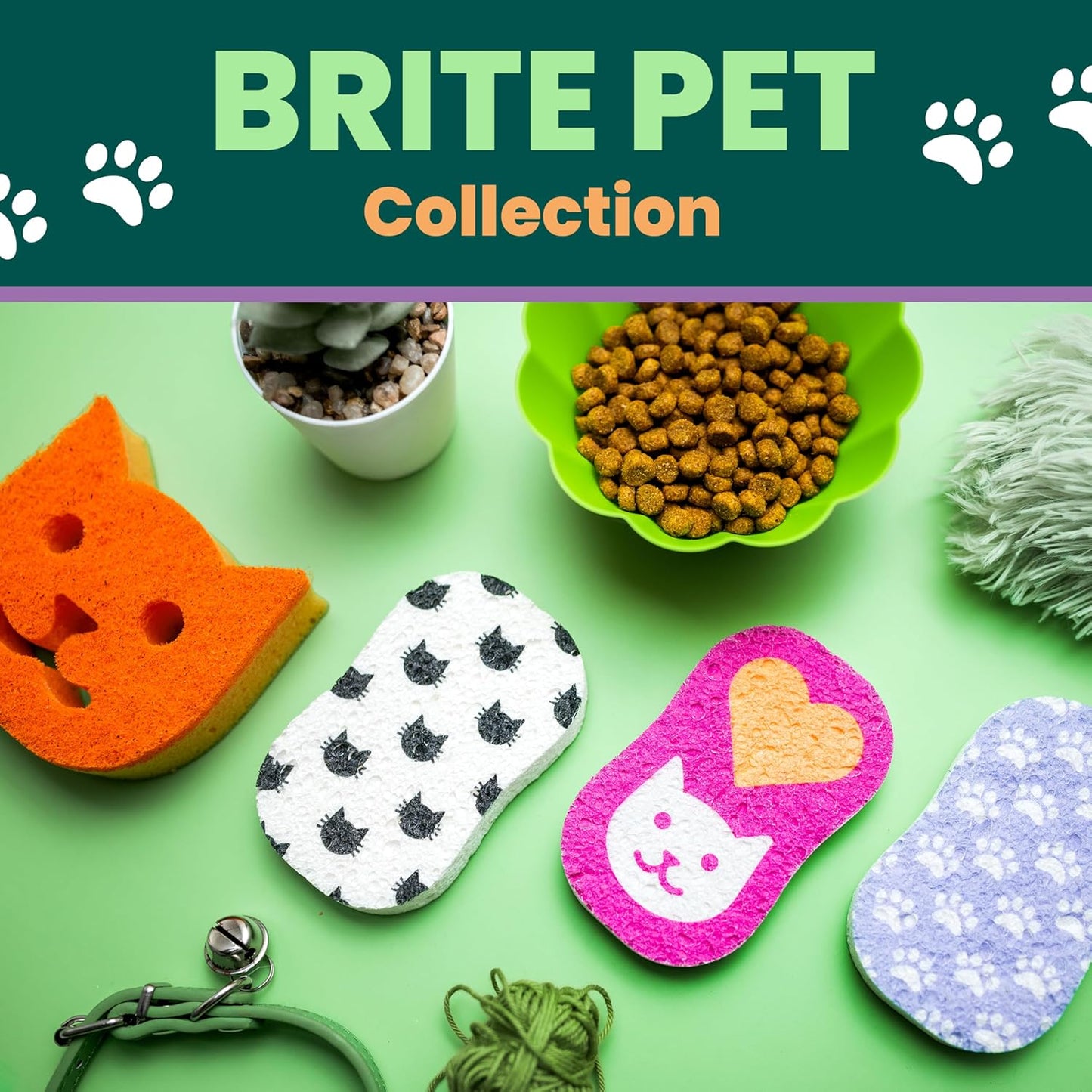 Scotch-Brite Doggone Tidy Non-Scratch Scrub Sponge, Two- Sided, Limited Edition, 1 Sponge