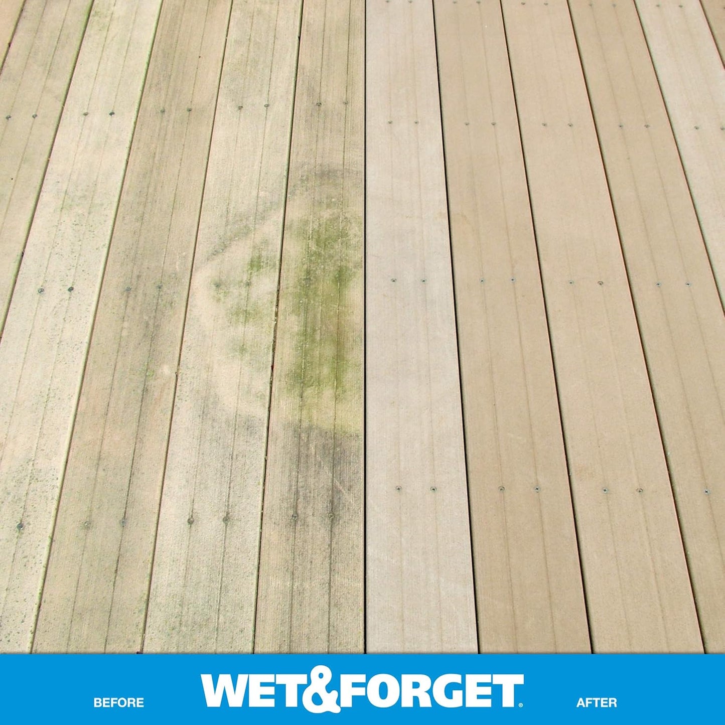 Wet & Forget Moss, Mold, Mildew, & Algae Stain Remover Multi-Surface Outdoor Cleaner Concentrate, Original, 128 Fluid Ounces