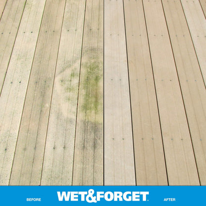 Wet & Forget Moss, Mold, Mildew, & Algae Stain Remover Multi-Surface Outdoor Cleaner Concentrate, Original, 128 Fluid Ounces