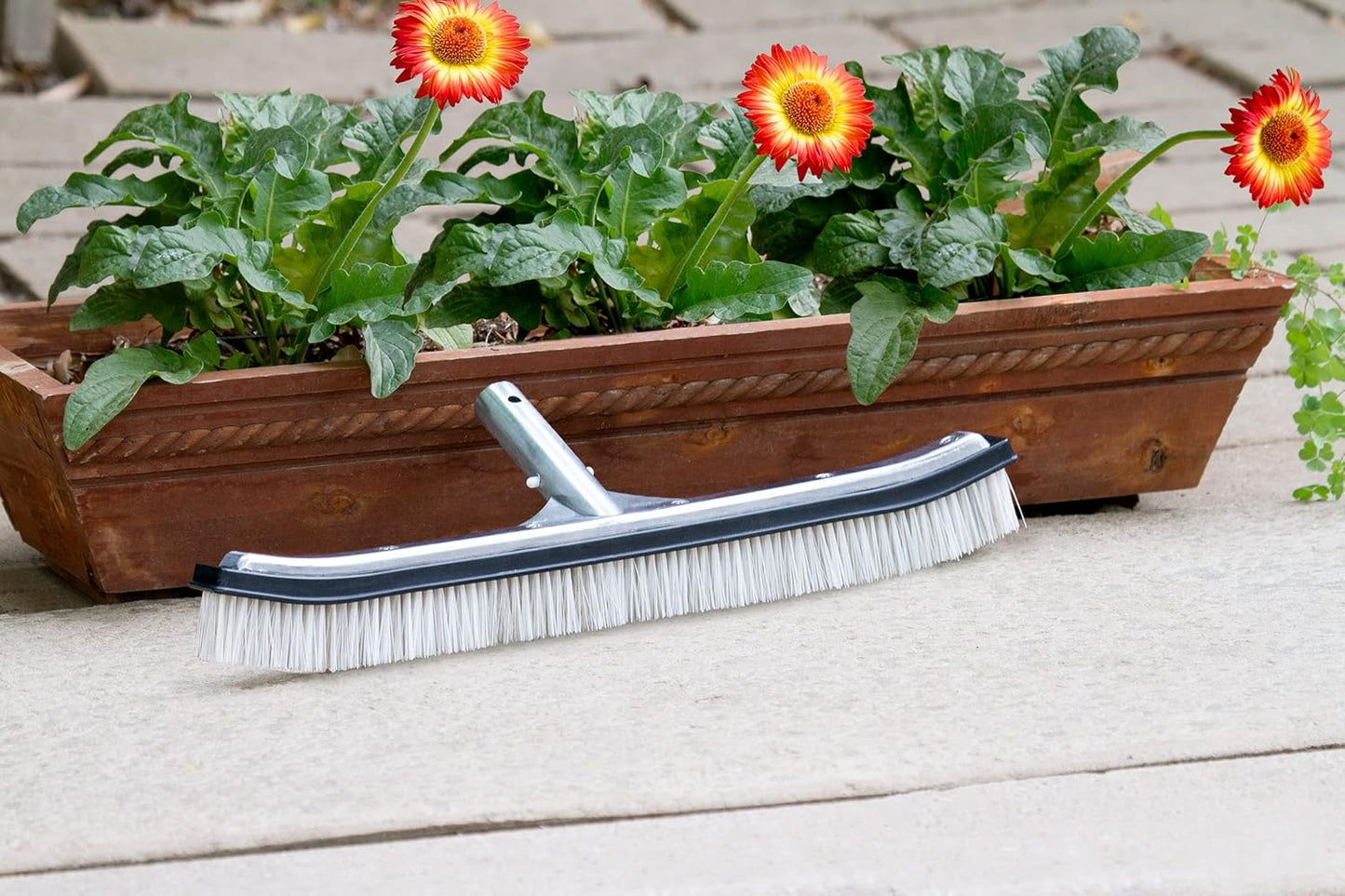 Poolmaster 5-Inch Stainless Steel Pool Algae Detail Brush, Heavy-Duty Aluminum Back, for Gunite Concrete Pools and Spas, Small Narrow Head for Corners, Steps and Tight Areas