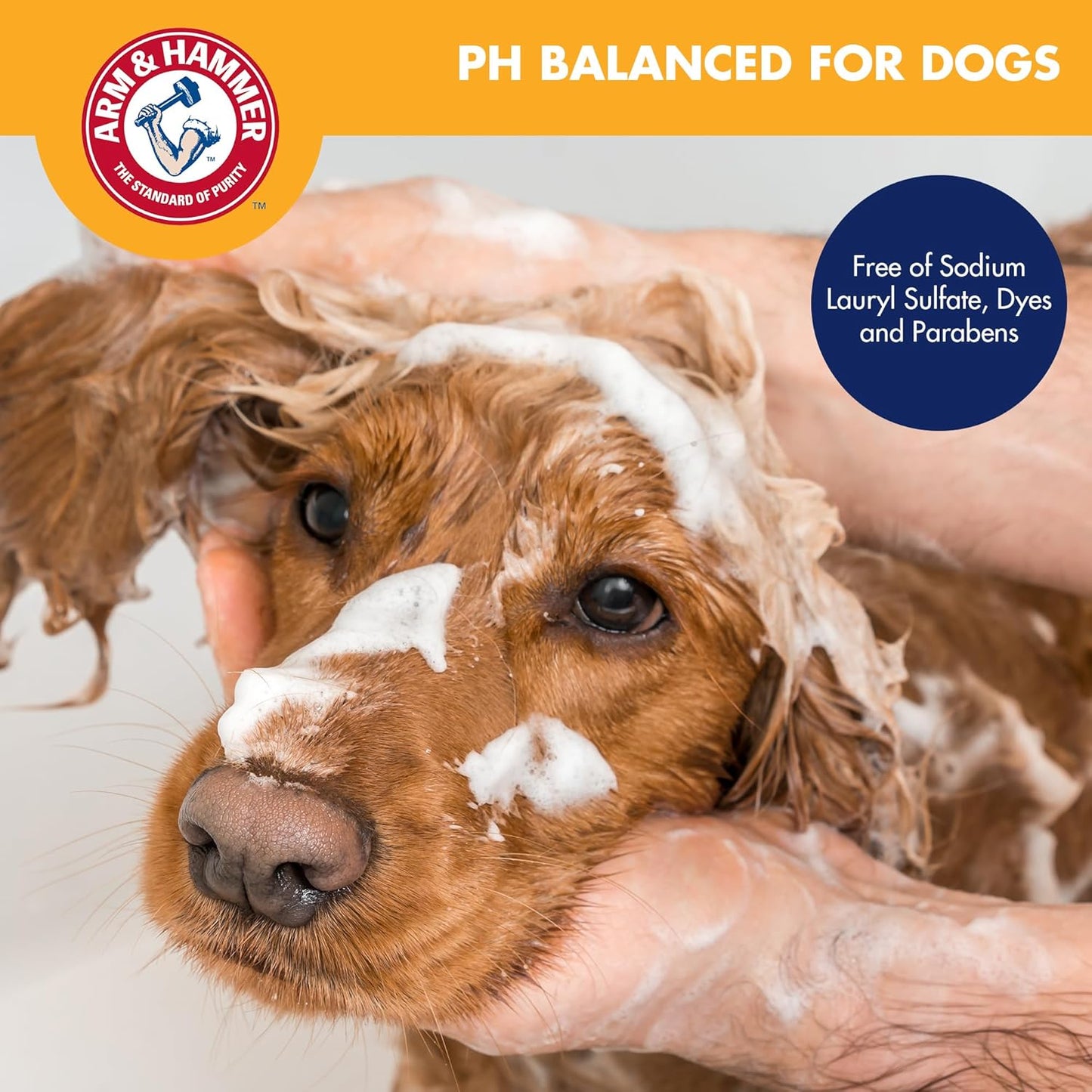 Arm & Hammer for Pets Super Deodorizing Dog Spray with Baking Soda for Odor Control, Freshens Coat Between Baths, pH Balanced Formula for Dogs, 8 Fl Oz - 2 Pack
