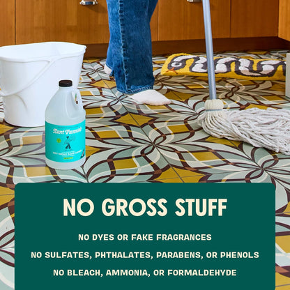Aunt Fannie's Ultra Concentrated Floor Cleaner Vinegar Wash, Multi-Surface Solution For Mopping, Makes 16 Gallons, Eucalyptus Scent, 32 oz. (Pack of 1)