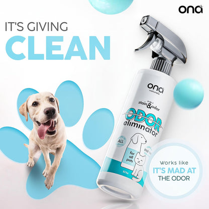 ONA Pet Stain & Odor Eliminator Enzyme Cleaner Spray - Dog & Cat Urine Remover & Deodorizer for Home, Carpet, Furniture & Hardwood Floor - Professional Strength Pet Urine Stain Remover (16oz)
