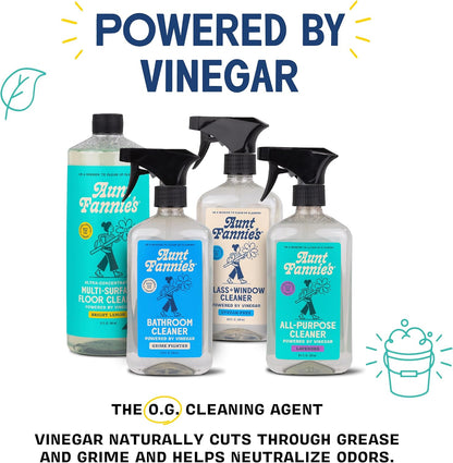 Aunt Fannie's Toy and Highchair Cleaner, Hypoallergenic, Multi-Purpose Spray Powered by Vinegar for Toys, High Chairs, Car Seats, Swings, Counters, and Other Hard Surfaces Fragrance Free, Pack of 1