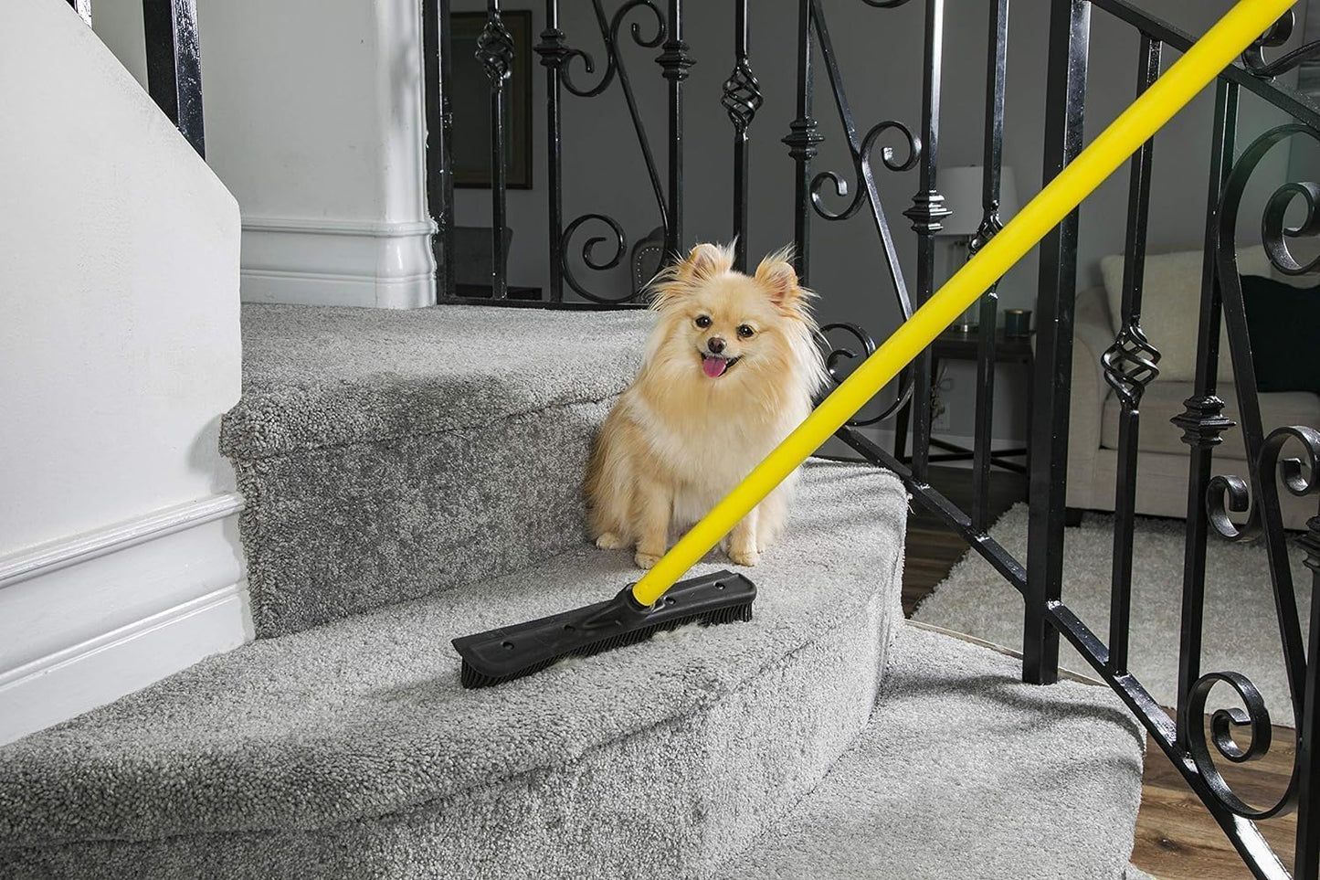 FURemover Pet Hair Removal Rubber Broom, 61" Telescopic Handle