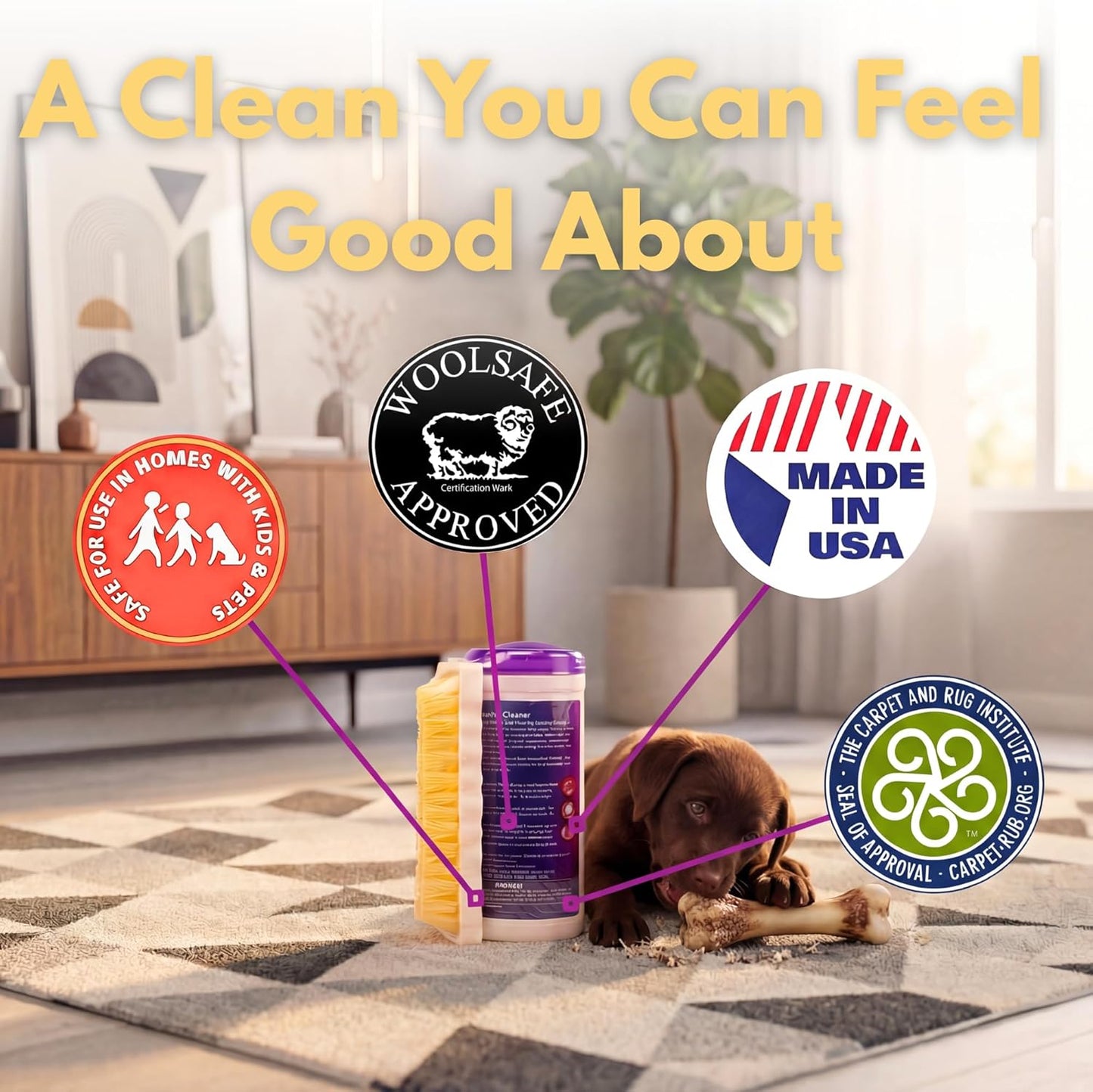Capture Carpet Total Care Kit 100 - Carpet Deodorizer & Freshener Powder - Spot & Stain Remover - Pet Odor Eliminator - Fresh Natural Scent - Dry Rug Powder Cleaner w/Pre-Mist Spray