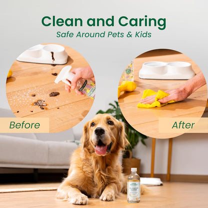Good Natured Brand | Carpet Deodorizer 31 oz Orange & All-Purpose Cleaner Concentrate 8 oz Orange