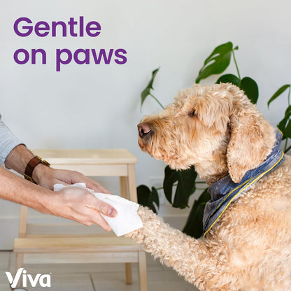 Viva Signature Cloth Paper Towels, Task Size, 8 Family Triple Rolls, 141 Sheets per Roll (Packaging May Vary)