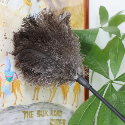 Natural Ostrich Feather Duster 14.9 inch Fluffy Mini Dusters with Plastic Handheld for Cleaning Car Keyboard Office 1 Pcs