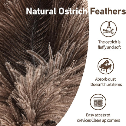 Ostrich Feather Duster 12 Inch Handheld Duster Supplies, Wooden Handle Feather Duster for Cleaning Keyboard Home Car Office (Champagne)