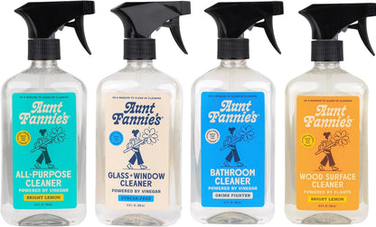 Aunt Fannie's Glass & Window Cleaning Vinegar Spray, Natural Streak-Free Spray, 16.9 Ounces (Pack of 1)