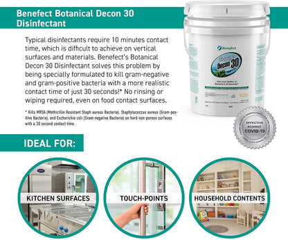 Benefect Botanical Decon 30 Disinfectant Cleaner, 4 oz. Spray Bottle, Light Lemon & Thyme Scent, Hospital Grade Disinfectant, Kills Over 99.99% of Germs, Safe for Food-Contact Surfaces (Pack of 4)