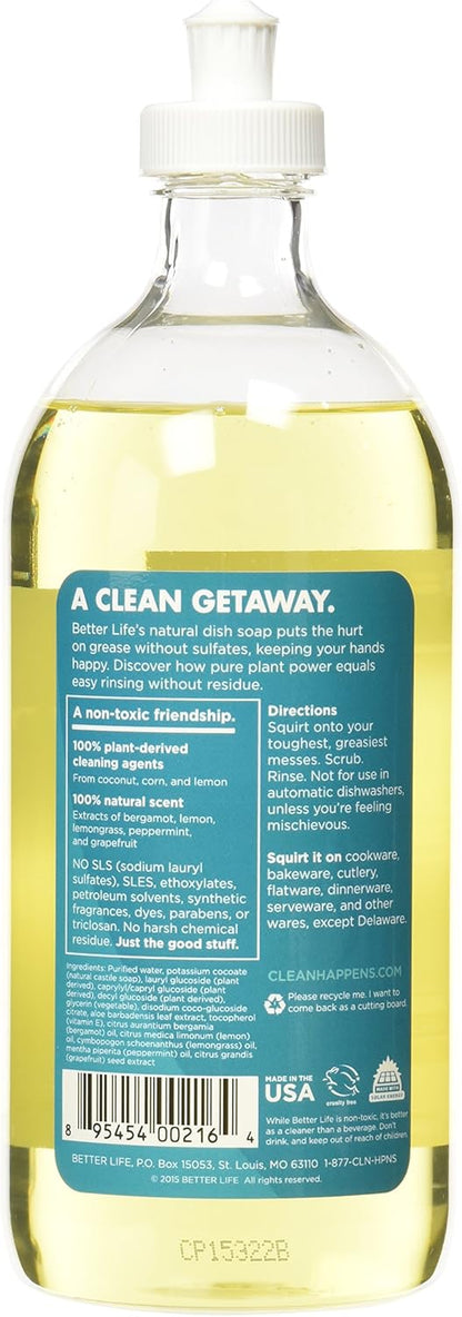 Better Life Dish Soap - Liquid Dishwashing Soap with Vitamin E and Aloe for Home & Kitchen Sink - No Gloves Required Kitchen Soap for Sensitive Skin - 22oz (Pack of 2) Lemon Mint