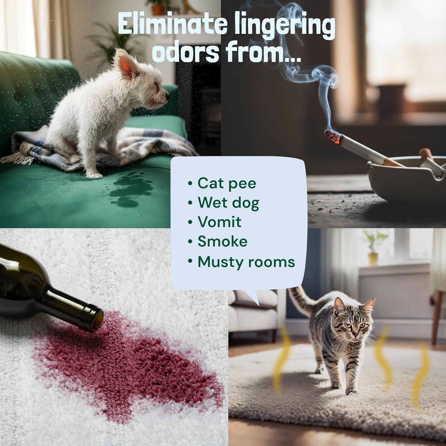 Sunny & Honey Carpet Deodorizer and Freshener Powder - Pet Safe Rug Refresher for Vacuuming - Berry Odor Eliminator for Strong Odor and Pet Urine (20 oz)