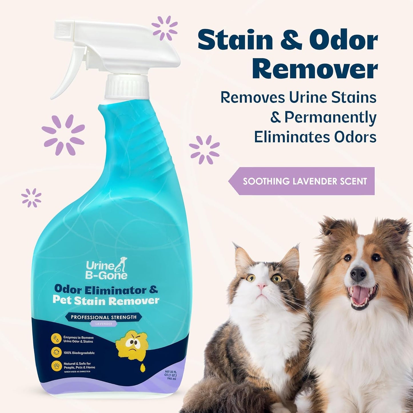 Urine B-Gone, Professional Enzyme Odor Eliminator & Pet Stain Remover, Human, Cat & Dog Urine Cleaner, Effective on Laundry, Carpets & More, Original Scent, 1 Gallon